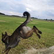 MissInkontinenzia