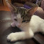 coco avatar