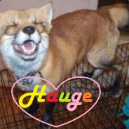H@uge