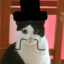 GatoGamer11