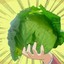 piece of lettuce