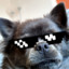 ChihuahuaObeso