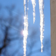 Icicle