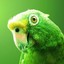 Green_Parrot