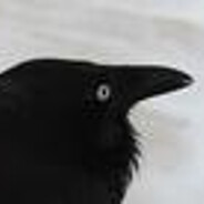 都特么和你说了是杜甫