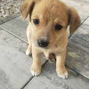 malodoy1221 - steam id 76561198765706500