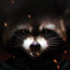 Rocket Racoon