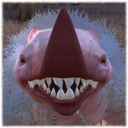 Player Avatar