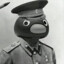 Herr Pingu