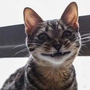 TыГыДыК
