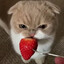 fdsuhfsbuygi7q83