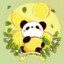 Lemon_Panda_ (Ger/Eng)