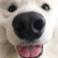 boop