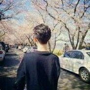 南栀倾寒北葵向暖i