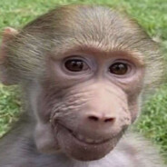 dunglesnarp avatar