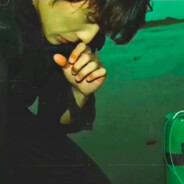 打蛇打寸七 只草蝴蝶批