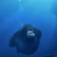SEA MONKe