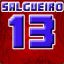 SALGUEIRO13