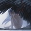 海绵宝哥