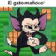 EL GATO MAÑOSO Bv