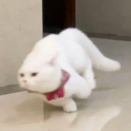 一枪一个男朋友