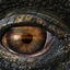 DragonEye