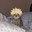 gozu