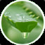 aloe_barbadensis_leaf_extract