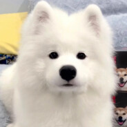 Eubie（素质感人版）