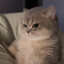 liina
