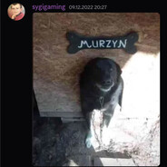 murzyn