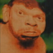 Pavekki