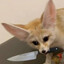 Kit the Chaotic