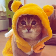 rerere