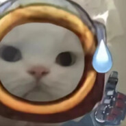 点不标枪不对抢紫甲藏大电不交流倒就退