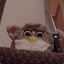 Furby