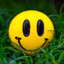 Smile ®