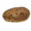 Regular potato