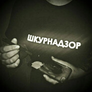 чихуахуа Steam avatar