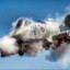 A10 Warthog