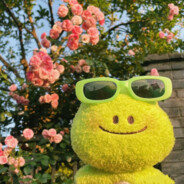 _大残是你的谎言丷