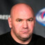 Dana White