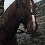Roach - steam id 76561197960279508