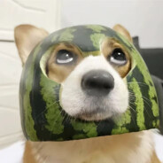 狗熊岭第一狙神