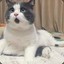 钟意