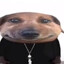 bober