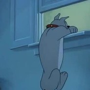 我是飞舞别防我