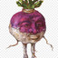 Turnt Up Turnip