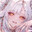 zeris
