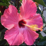 他说三分钟不算短